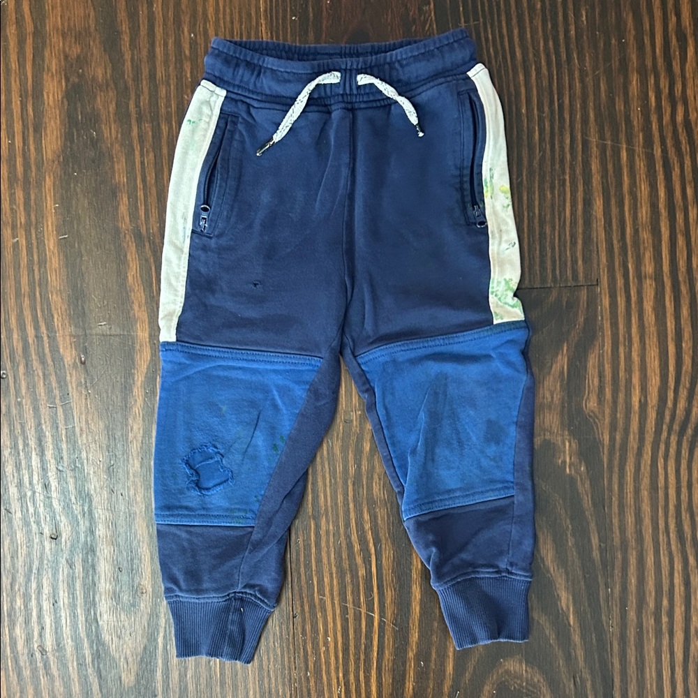 Hanna Andersson Kids Blue Color Block Jogger Pants